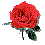 mawar.gif (611 bytes)